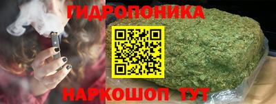 СК Балахна
