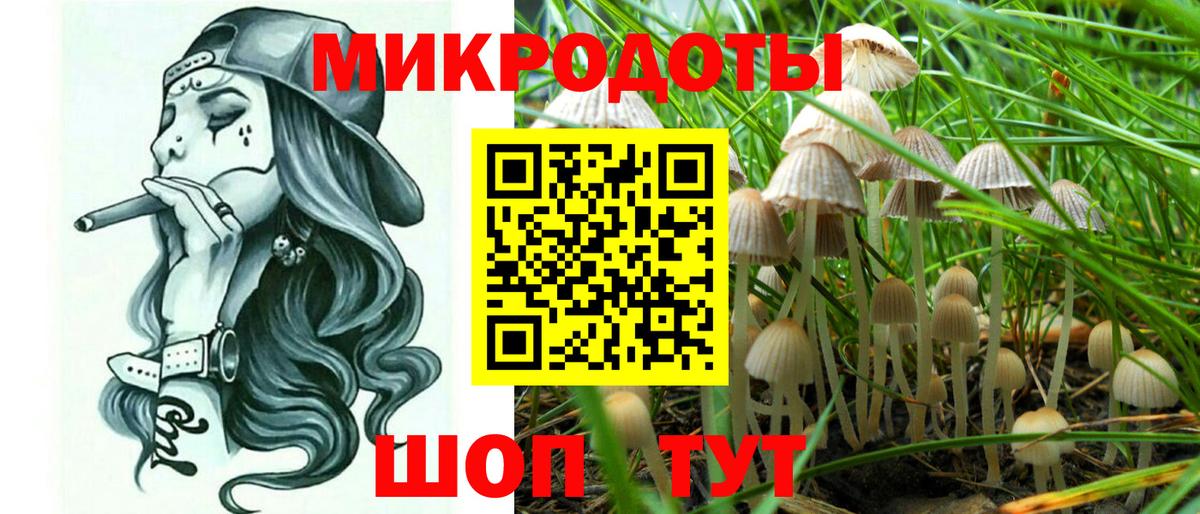 Галлюциногенные грибы ЛСД  Вход с VPN  Дмитров  Галлюциногенные грибы Psilocybe 